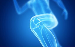 Vue intérieur d'un genou